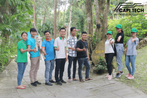 hoạt động capitech