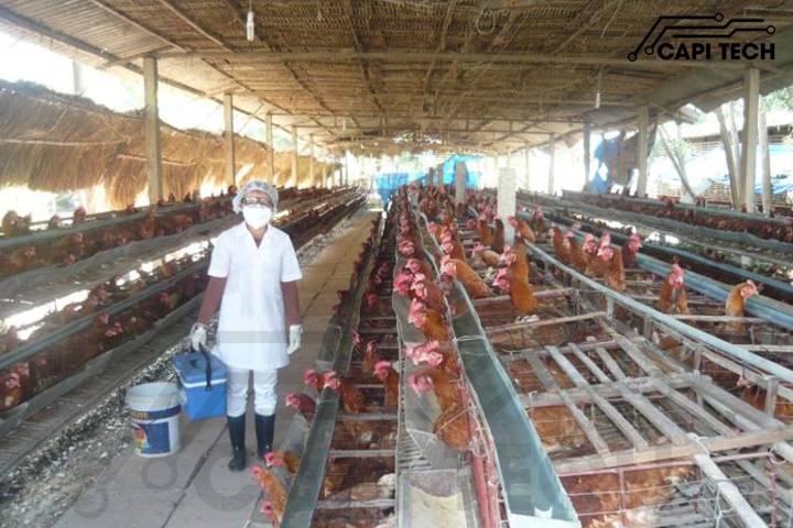 chống trộm vườn cây